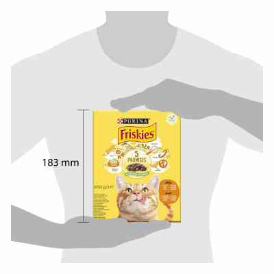 Сухой корм для кошек Purina Friskies с курицей и овощами 300 г (7613031868247) Винница