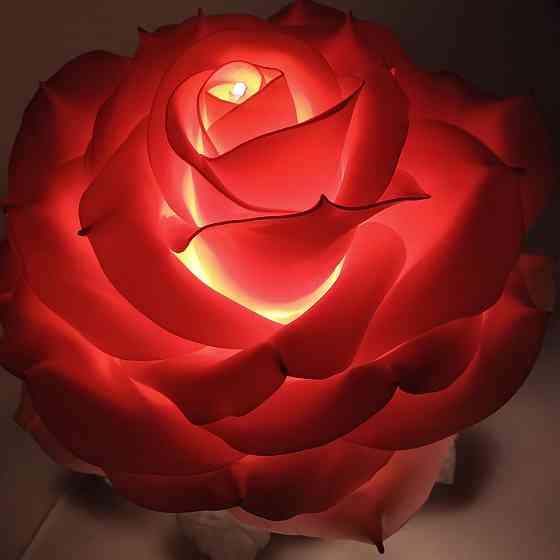 Світильник-нічник "Зимова троянда" Дніпро