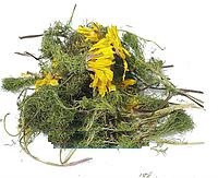 Адонис / Горицвет, 500г. MasterSEM Киев - изображение 1