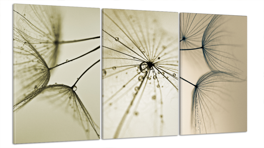 Модульная картина  Цветы Art-24_B3 Киев - изображение 1