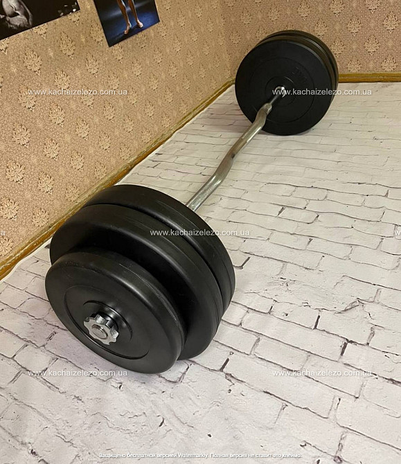 Штанга наборная W-образная на 57 кг Гантели, гири, штанги и диски с пластиковым покрытием Киев - изображение 1