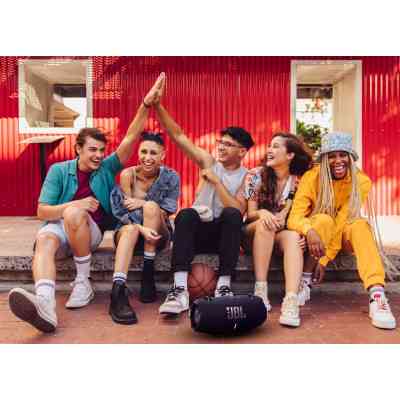 Акустическая система JBL Xtreme 4 Black (JBLXTREME4BLKEP) Винница