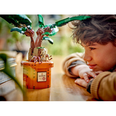 Конструктор LEGO Harry Potter Корінь мандрагори (76433) Вінниця - фото 3