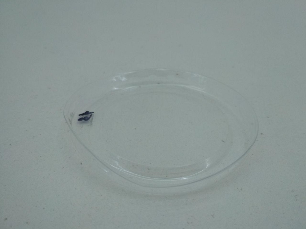 Кришка пластикова ПС-39 Ф66 для упаковці ПС-390 /ПС-391 (100 шт) Харків - фото 1