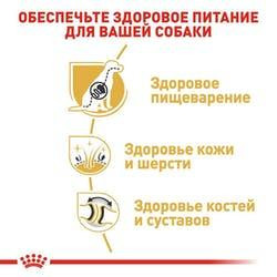 Royal Canin German Sheperd Adult (Рояв Канін Джерман Шеперд Едалт) сухий корм для дорослої німецької вівчарки 11 кілограмів. Запоріжжя - фото 4
