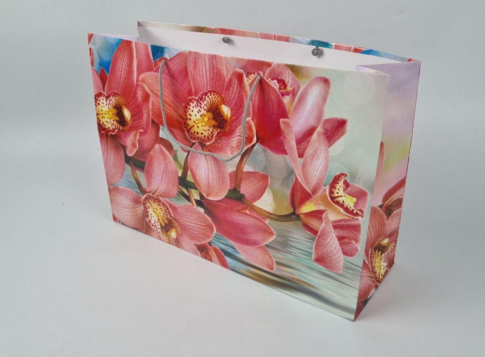 Бумажный пакет горизонтальный гигант 46*33*15 (артGG-039) (12 шт) Харьков - изображение 1