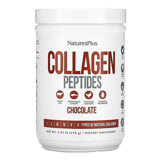Collagen Peptides - 378g Chocolate Луцк