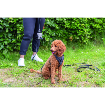 Шлея для собак Trixie CityStyle H-harness Бавовна L–XL 75–120 см 25 мм Чорна (4053032682665) Вінниця - фото 3