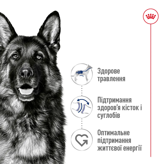 Royal Canin Maxi Adult 5+ (Роял Канін Максі Едалт 5+) сухий корм для собак великих порід від 5 років Запоріжжя