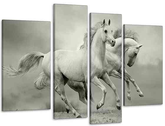 Модульна картина Коні Art-87_4 Київ