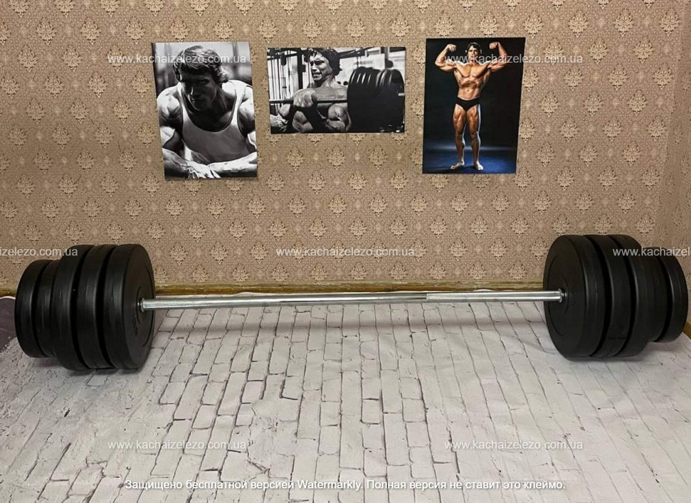 Штанга наборная на 90 кг Гантели, гири, штанги и диски в ударостойком пластике Киев - изображение 1