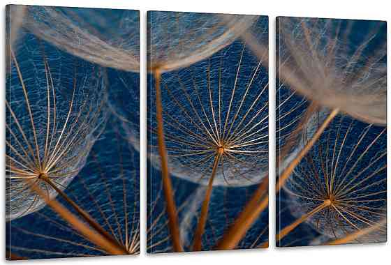 Модульна картина у вітальню/ спальню  Кульбаба  ART-302_3A 100х150 см Київ