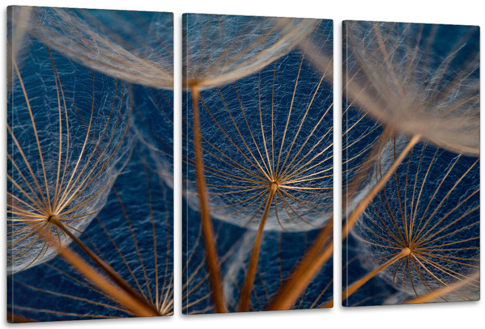 Модульна картина у вітальню/ спальню  Кульбаба  ART-302_3A 100х150 см Київ - фото 1