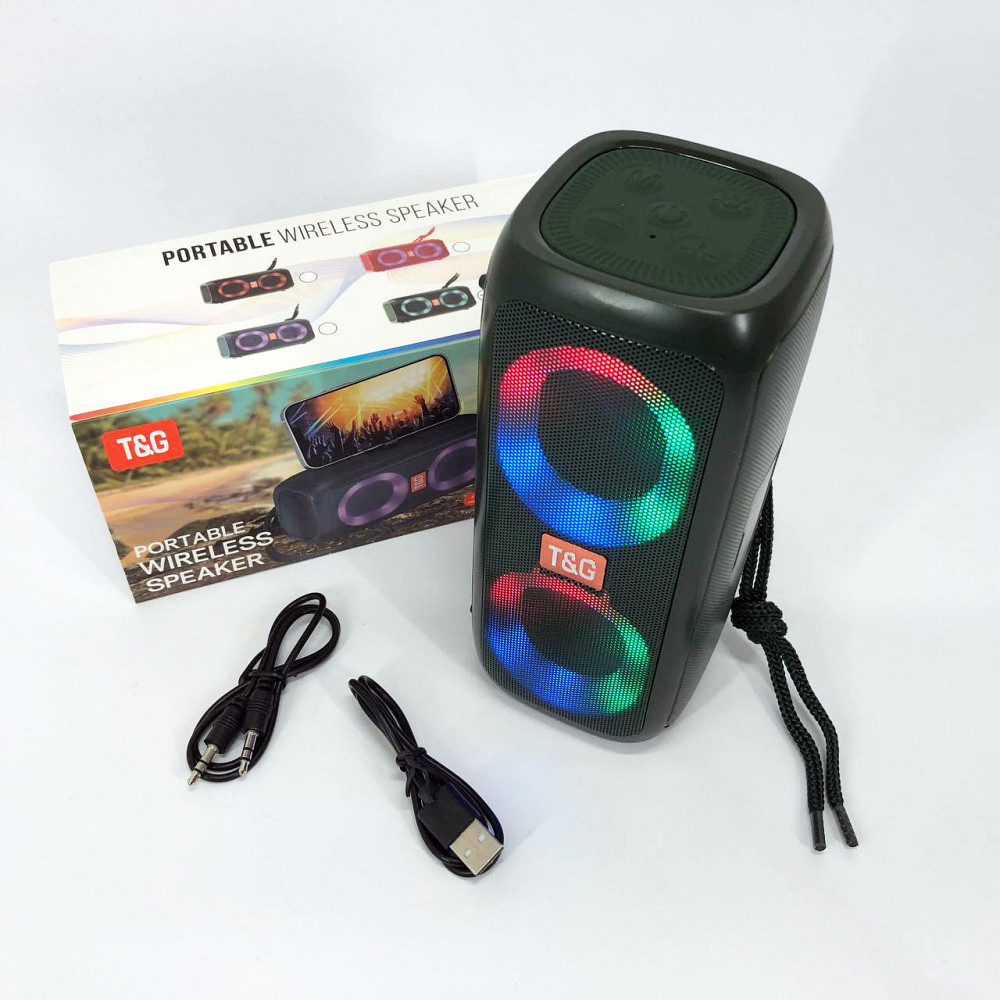 Колонка для домашньої вечірки TG333, Колонка портативна акумуляторна для вечірок на дачі DW-67 Львів - фото 2