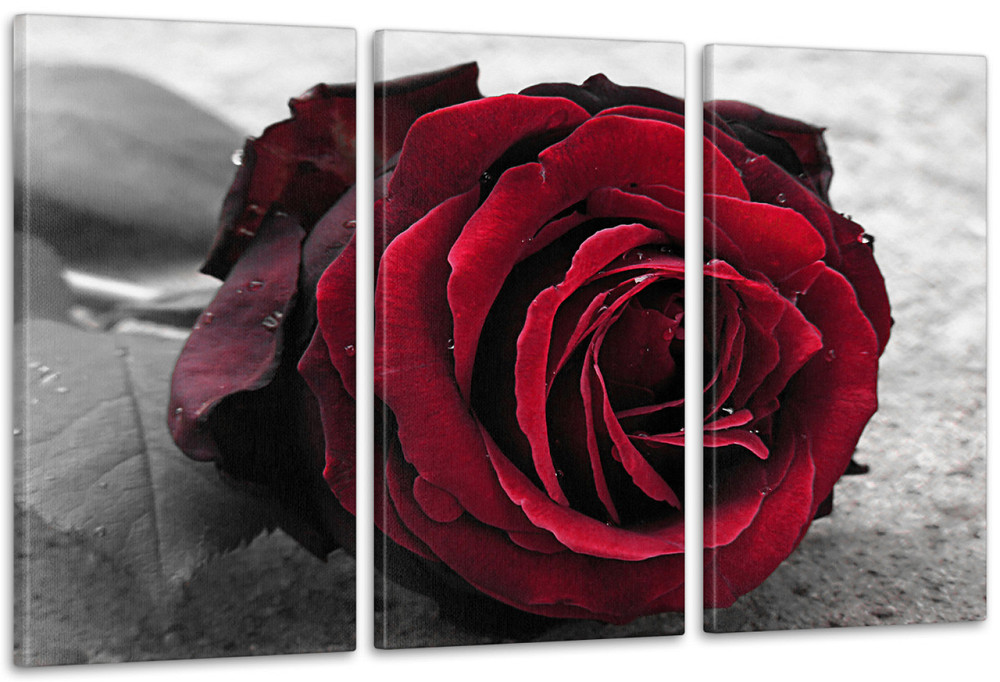 Модульна картина Роза Art-32_3А 100x150 см Київ - фото 1