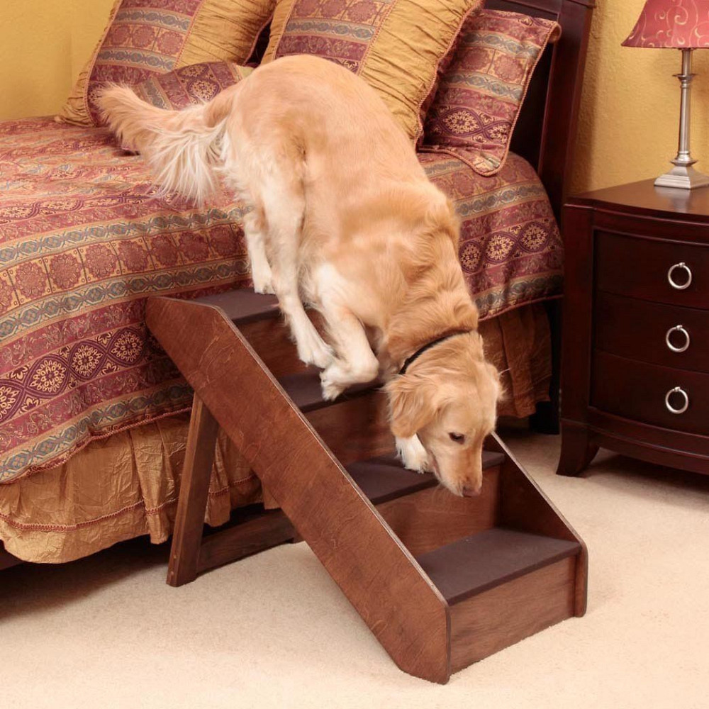 Лестница для собак 