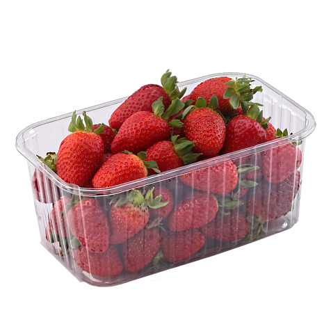 Пластиковый лоток для ягоды 500 грамм ПЭТ 193*117*53 см Павлоград