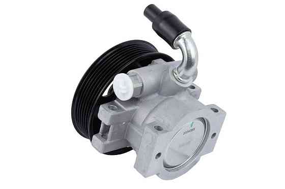 Насос ГПК (125mm; 7PK) Raiso (Швеція) Ford Transit V348, Форд Транзит В348 #RG0186 UAHDZUH22 Ковель