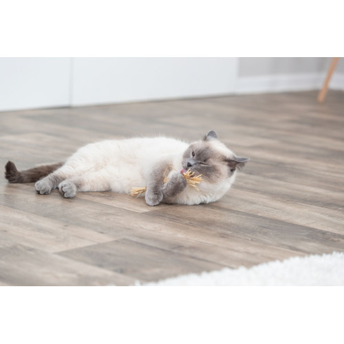 Игрушка Trixie для кошек Палка из мататаби с кистями 24 см Киев - изображение 9