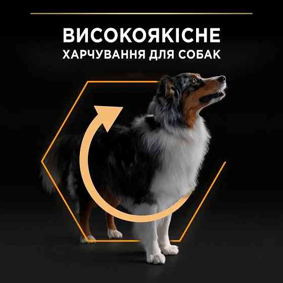 Сухий корм PRO PLAN Medium Adult 1+ Everyday Nutrion для дорослих собак середніх порід, з куркою, 14 кг Київ