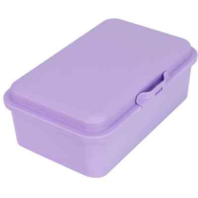 Ланч-бокс детский Economix SNACK 750 мл, сиреневый (E98382) Винница
