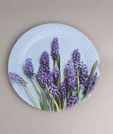 Тарілка паперова 23 см "No63 10 шт (1 пачка) Харків