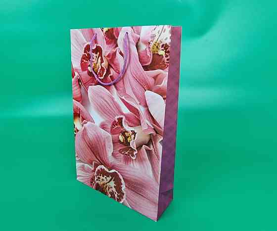 Большой бумажный пакет вертикальный  25/37/8(артBV-197) (12 шт) Харьков