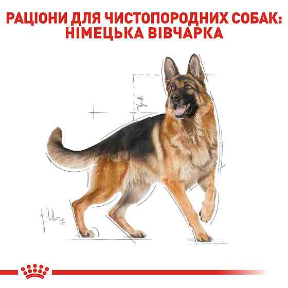 Корм для дорослих собак породи Німецька Вівчарка ROYAL CANIN GERMAN SHEPHERD ADULT 11.0 кг Київ