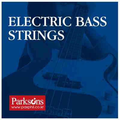 Струны для гитары Parksons Electric Bass Strings (40-95) (SB4095) Винница