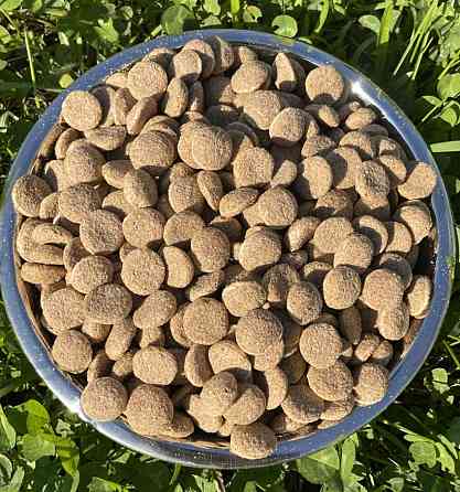 ОПТ.Корм для тварин. Київ