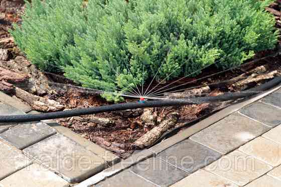 Мікроджет Presto-PS крапельниця для поливу Крокус 52 л/год 360° (7719) Харьков