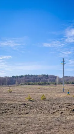 Тест Тест Тест Винница