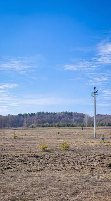 Тест Тест Тест Винница - изображение 1