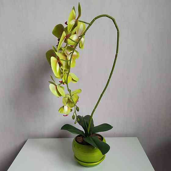 Штучна латексна орхідея VIP в салатовому керамічному кашпо на одну гілку салатово-рожева Дніпро