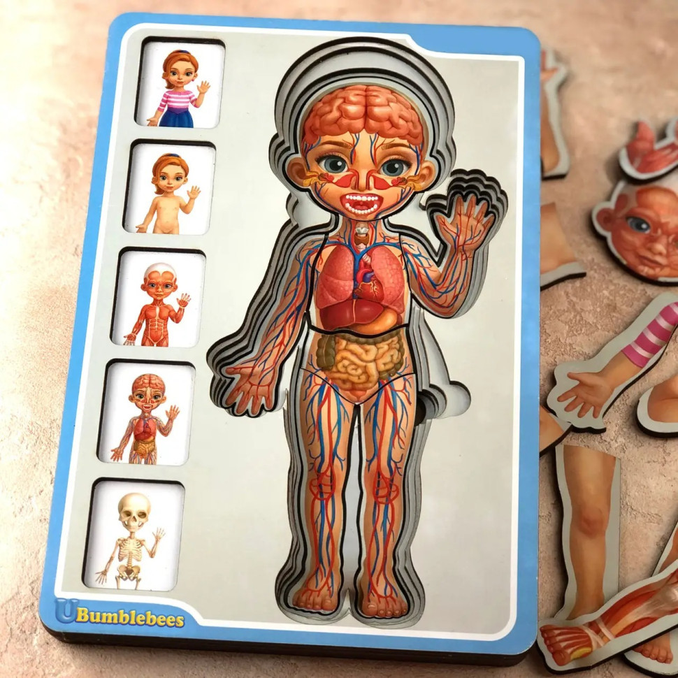 Деревянный пазл-вкладыш 