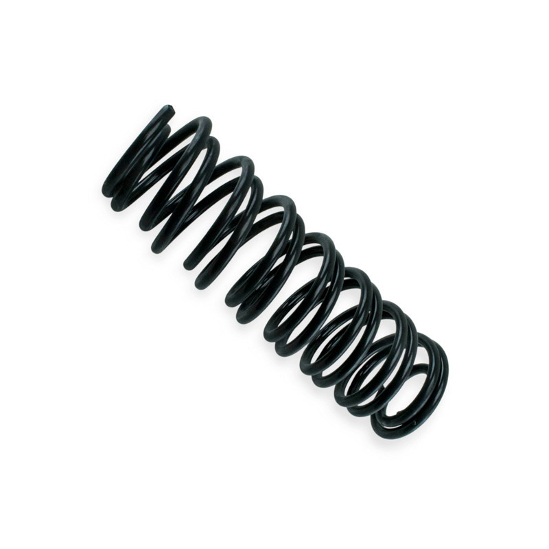 Пружина Амулет EXA11291R задняя Мукачево - изображение 1