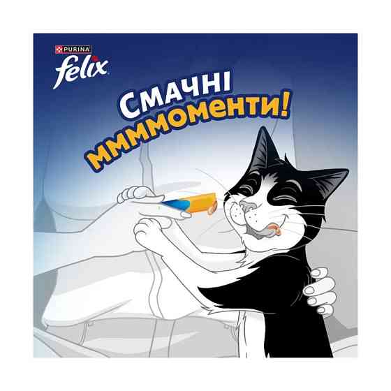 Вологий додатковий корм FELIX Смачні моменти для дорослих котів, з куркою, 4х10 г Київ
