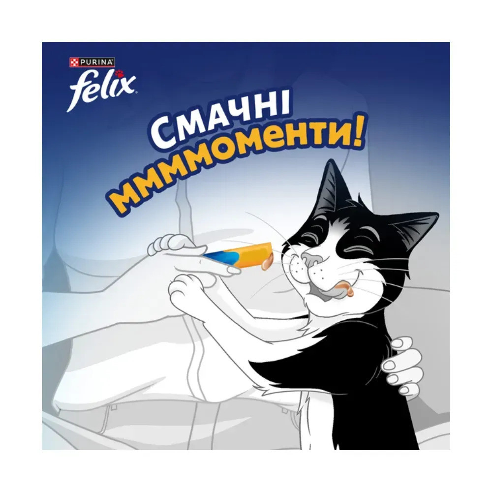 Влажный дополнительный корм FELIX Вкусные моменты для взрослых кошек, с курицей, 4х10 г Киев - изображение 3