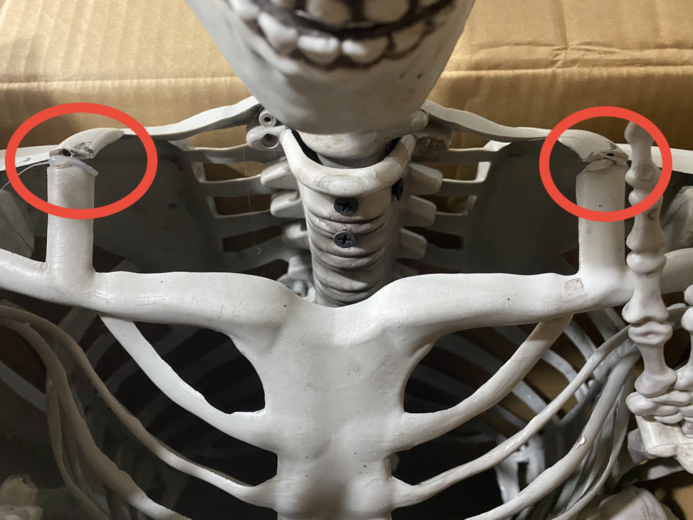 Анатомічний скелет людини RESTEQ 170 см — велика навчальна модель із ПВХ з рухомою щелепою, білий Київ - фото 9