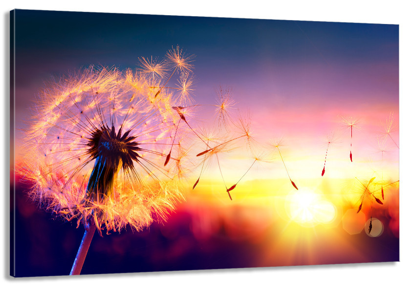 Картина холст в гостиную / спальню  Куль-Баба   MLP_172 70x140 см Киев - изображение 1