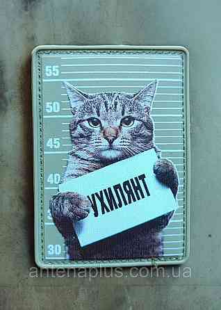 Кот Уклонистт олива патч / шеврон Киев