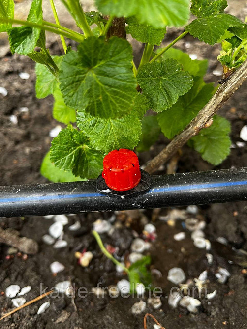 Крапельниця з компенсацією тиску(універсальна) Харків - фото 3