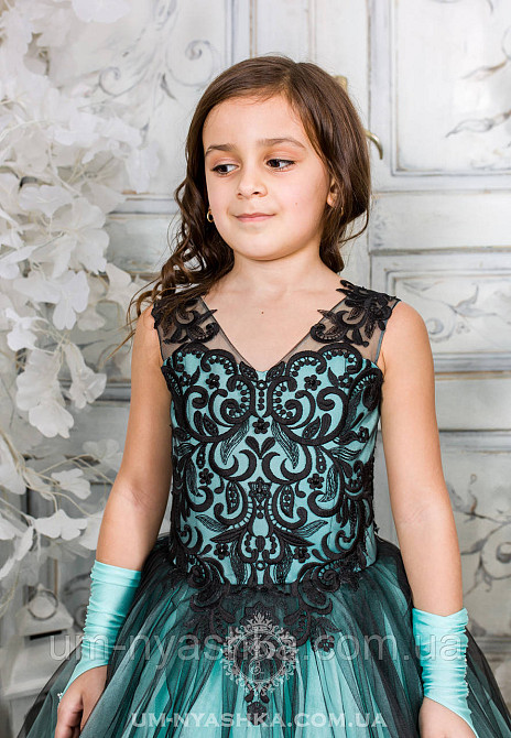 Пышное нарядное платье Камелия на 4-6 лет Кривой Рог - изображение 6