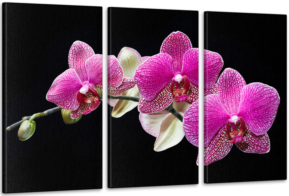 Модульная картина Орхидея Аrt-133_3А Киев - изображение 1