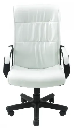 Офісне Крісло Керівника Richman Rio Lucky White Пластік Річ М2 AnyFix Білий Київ