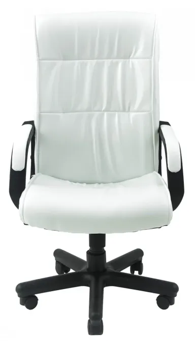 Офісне Крісло Керівника Richman Rio Lucky White Пластік Річ М2 AnyFix Білий Київ - фото 2