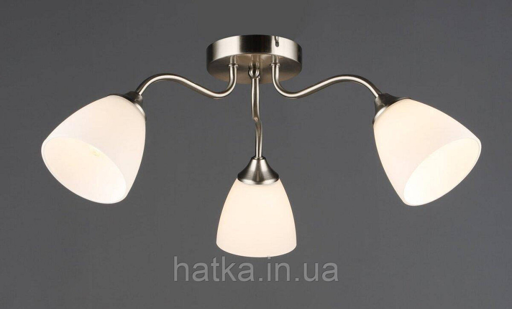 Стельовий світильник на 3 плафони N6631/3 Київ - фото 1