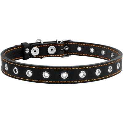 Нашийник для тварин Collar безрозмірний 20 мм 50 см (чорний) (01511) Вінниця