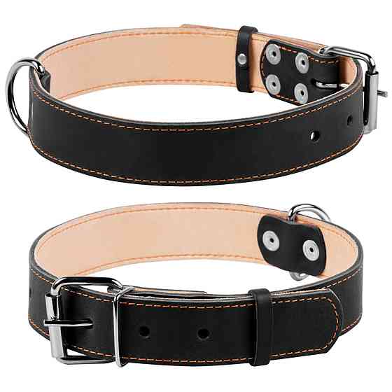 Нашийник "CoLLaR" подвійний (ширина 35мм, довжина 48-63см) чорний Київ