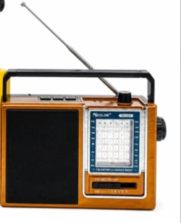 Портативний радіоприймач Golon RX-252 з Bluetooth, MP3, USB, SD, вбудованим акумулятором Одеса